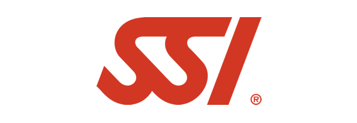 SSI