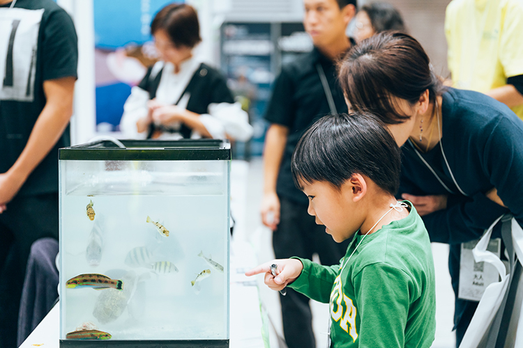 体験型コンテンツ